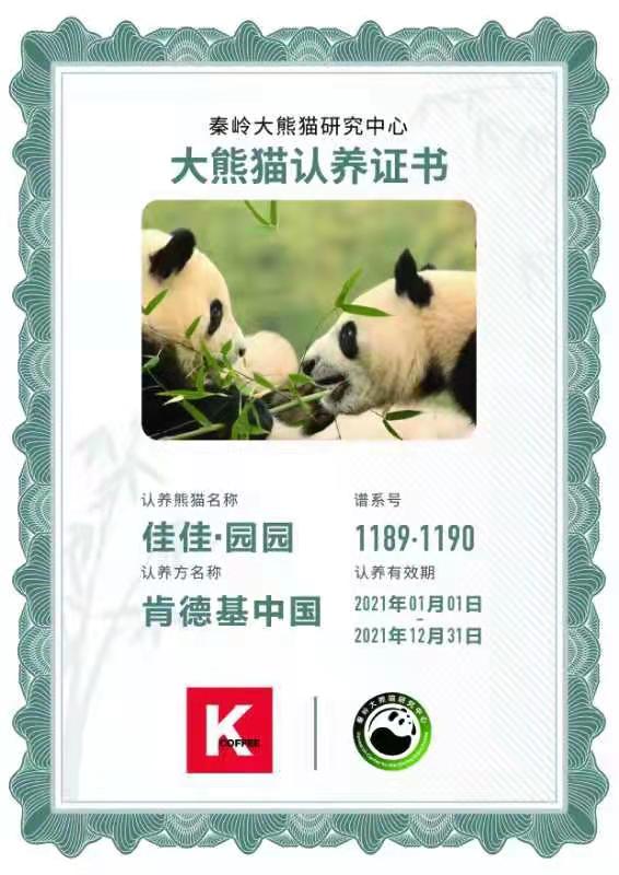 两家大企业认养四只大熊猫 自然和谐共促发展