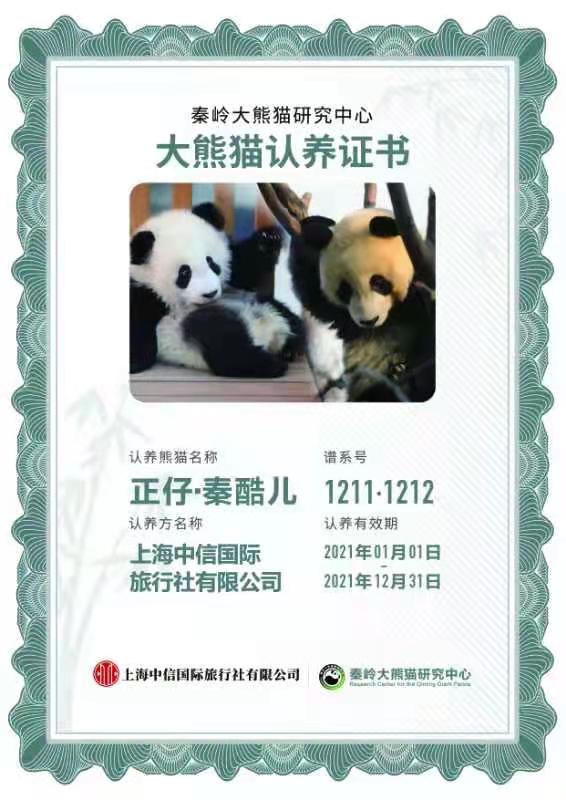 两家大企业认养四只大熊猫 自然和谐共促发展