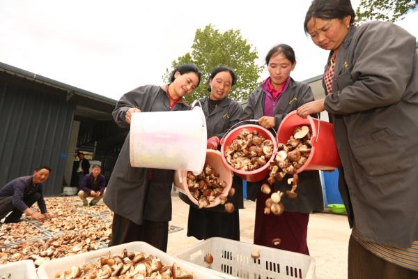 樊京涛：厚积薄发 重塑北京现代“技术范儿”人设