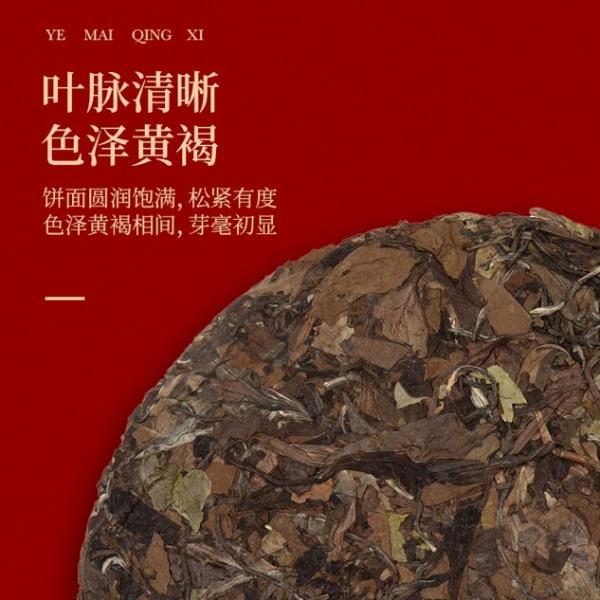 礼赠新春 艺福堂时光系列大师白茶浓情上市