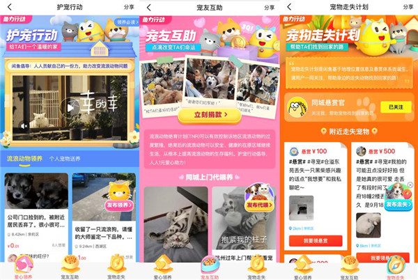 闲鱼发起“鱼力行动”，超20000只猫狗等待领养救助