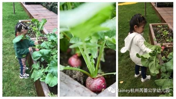 英国瑞尼公学更名芮蕾公学，打造杭州双语幼儿教学典范！