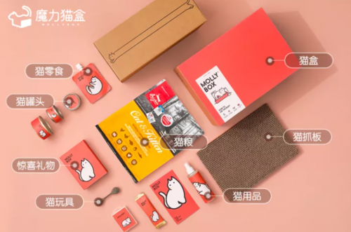 遇见魔力猫盒，遇见更有趣的轻宠潮时代