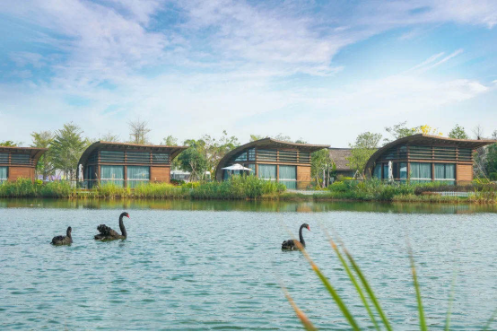 2021横琴观光指南丨打卡新春横琴出行线路