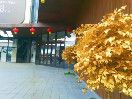 国创祈福年，好运在牛年，“泉”民参与乐翻天！