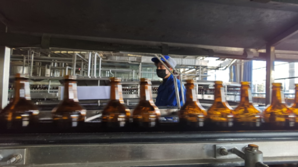 泰山原浆啤酒开工复产，牛年订单“开门红”！