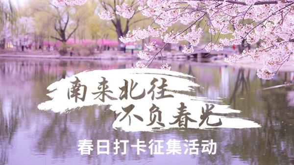 春日打卡拍摄攻略：如何让你拍摄的花儿脱颖而出？