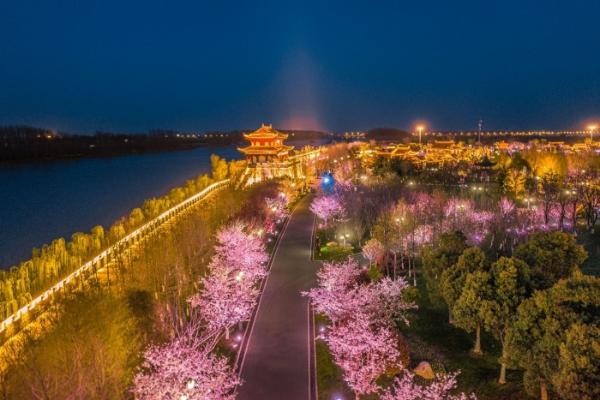 “花开盐城”旅游季暨2021大洋湾国际樱花月启动 来盐城，开启一场风花雪月之旅