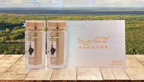 绿色健康消费受追捧 俄罗斯白桦茸进口额同比增长30%