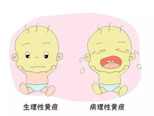 新手爸妈注意，北京家恩德仁医院这份新生儿黄疸“护理攻略”一定要看