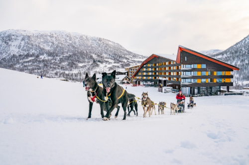 弗洛姆旅游局品牌重塑,新名称Norway's best意打造挪威最佳旅游品牌形象