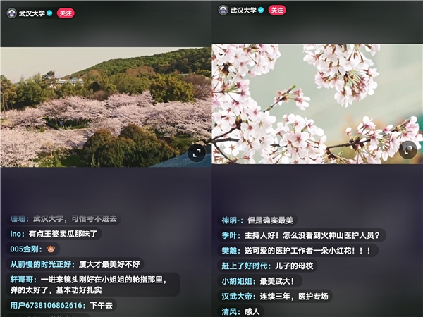 抗疫医护赴约武大赏樱，抖音超1.7亿人次围观