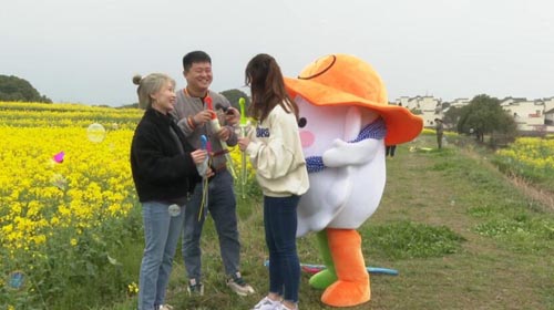 金花有约，又见高淳 第十三届中国·高淳国际慢城金花旅游节今日开幕