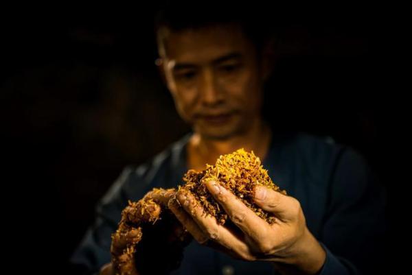 浓香天下的格局是如何形成的？