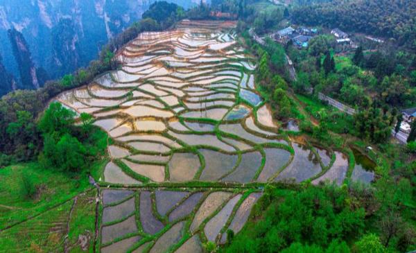 被遗落的“人间仙境”沧海桑田：风光尽览张家界的险、秀、仙、韵