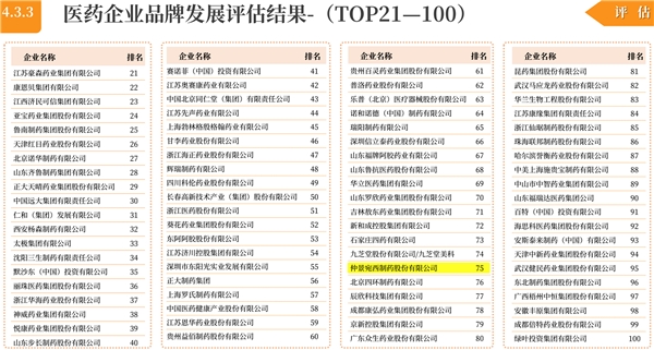 宛西制药马云为仲景“三分钟讲透经典”发声做《品牌引领，经典驱动》演讲