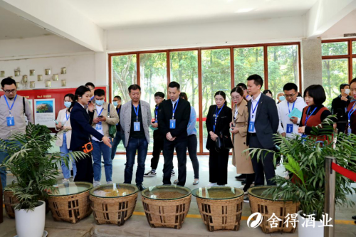 沱牌舍得知识产权特色小镇高峰论坛举行，舍得酒业助推区域高质量发展