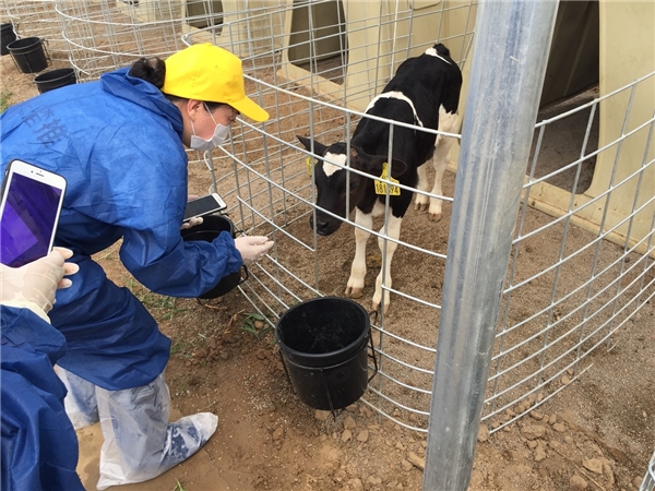 认养一头牛：四年组织百场牧场游，探访品质好奶源头地