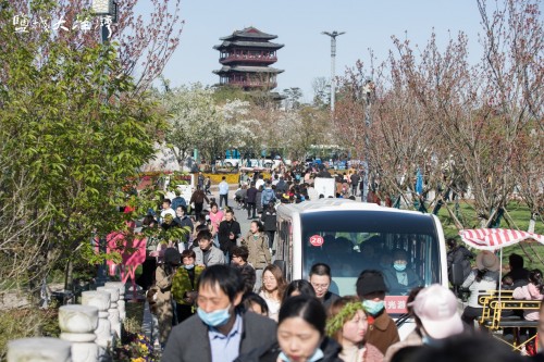 盐城大洋湾清明假期接待游客近30万人次