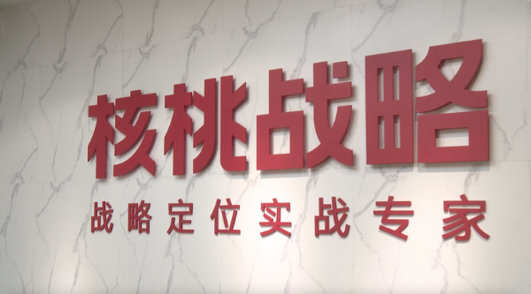 深圳电视台专访核桃战略董事长赵秀丽：巾帼“她”力量 乘风破浪的脑力担当