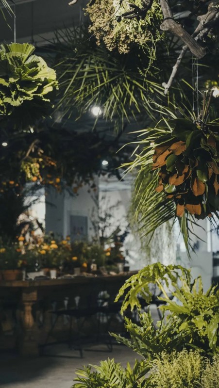 OPEN DAY| 初夏盛放的花植 唤醒地球重生的力量
