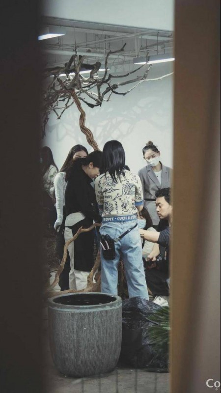 OPEN DAY| 初夏盛放的花植 唤醒地球重生的力量