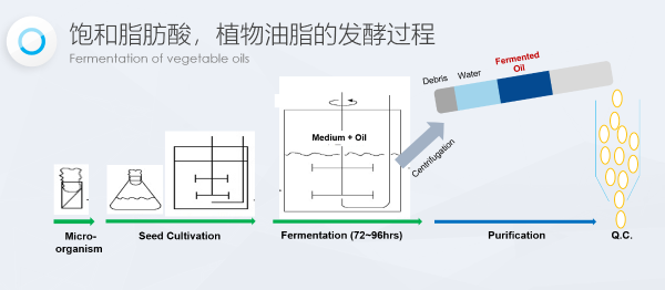 仙竹社AILABELLS品牌的发展进化史