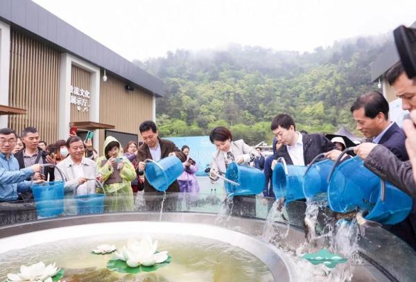  千岛湖金山鱼湾举行春季放流公益体验活动