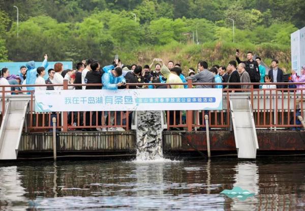 千岛湖金山鱼湾举行春季放流公益体验活动