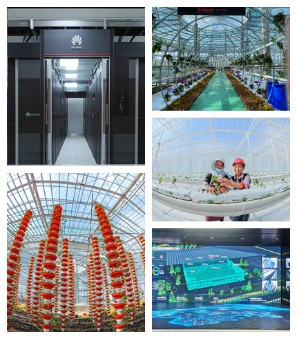 乡村振兴新实践—滨海农旅•朗坤农科园“两中心三基地”正式揭牌！
