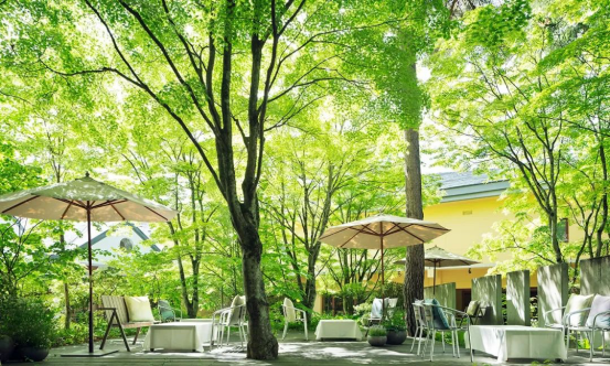 在浪漫圣地轻井泽，享受两个人专属的幸福纪念日