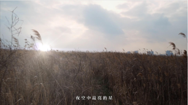 三星S21系列，联合张韶涵＆卡斯柏倾情呈现《夜空中最亮的星》