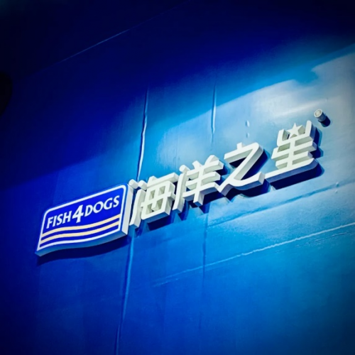 宠爱滋味，鱼你相约！海洋之星亮相第十届成都“宠博会”