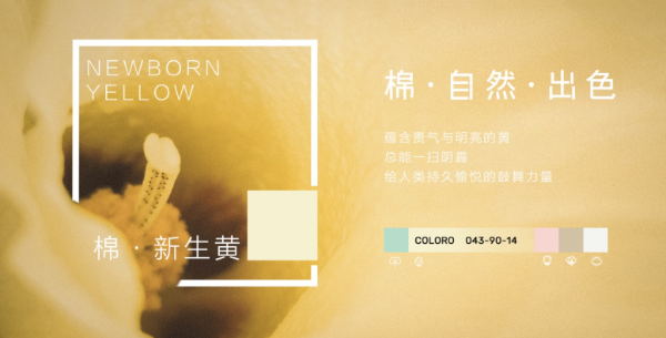 全棉时代联合COLORO®首次发布“棉”主题色号，演绎棉的本真之色