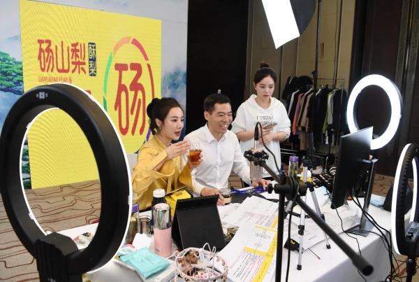 “薇娅魅力中国行·安徽站”引导成交超4486万元，“安徽智造”成直播间畅销好物