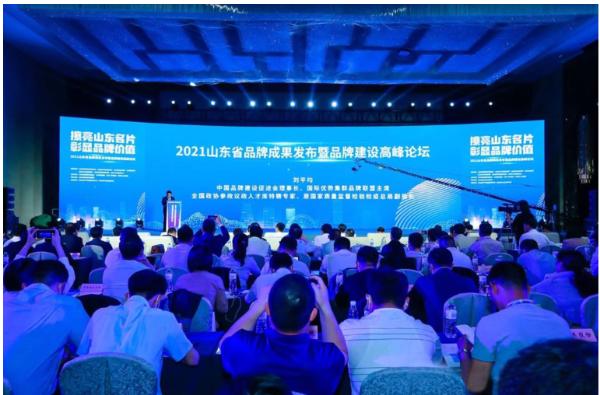 2021山东省重点行业品牌价值榜发布 浪潮、聚好看品牌强度分列行业前二