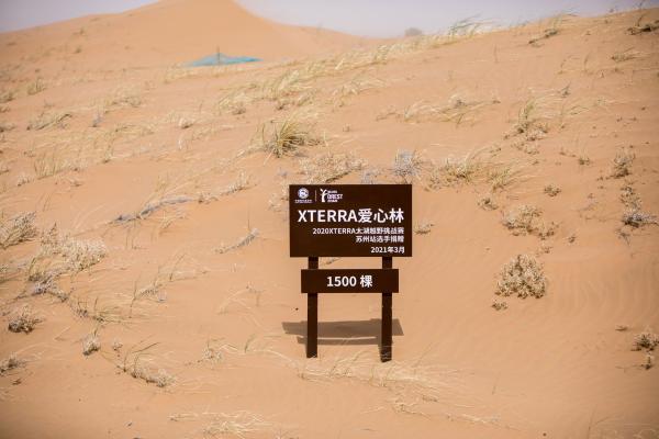 XTERRA携手中国绿化基金会捐赠固沙植物，在西部地区开启保护地球的使命