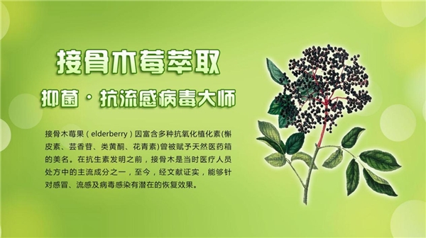  换季必备新西特，三合一接骨木莓