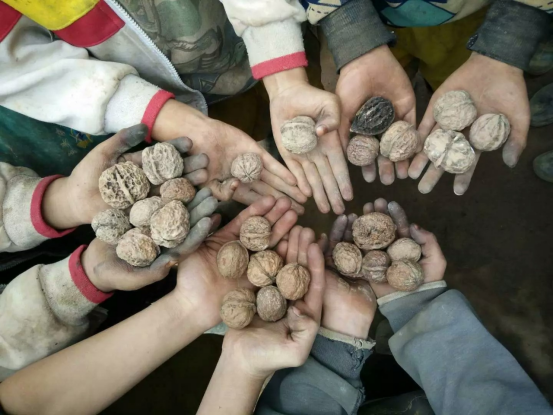 用心呵护，让爱发芽，基诺浦用公益传递爱