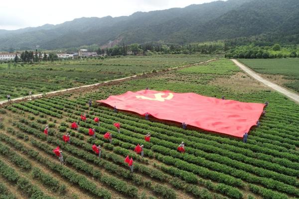 中国绿都·最氧三明四季行 “清流林畲红游季”9日正式启动