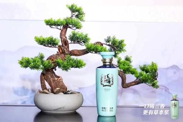 《毛铺·和文化》沙龙抵京 樊登畅聊读书致“和”