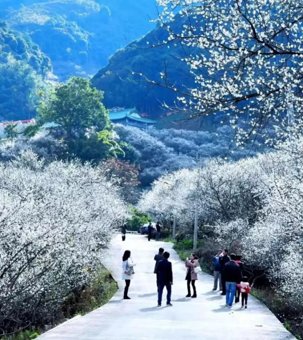 2021广东·陆河乡村文旅暨民宿产业招商推介大会成功举办