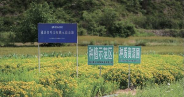 推动乡村振兴，康弘药业打造“绿色经济”产业链