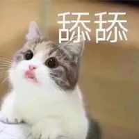 测评|豆柴猫粮：双拼风干系列。营养美味，超高性价比，全网打call