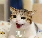 测评|豆柴猫粮：双拼风干系列。营养美味，超高性价比，全网打call
