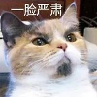 测评|豆柴猫粮：双拼风干系列。营养美味，超高性价比，全网打call