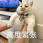 测评|豆柴猫粮：双拼风干系列。营养美味，超高性价比，全网打call