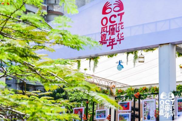 OCT凤凰花嘉年华：以花为媒、坚守初心 助力城市美好生活