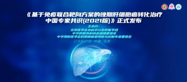 系统治疗助力手术突破新型药物用于肝癌转化治疗专家共识发布