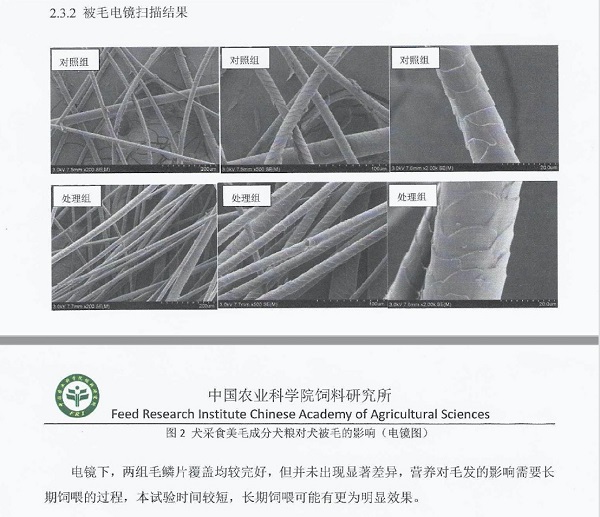 优朗携手中国农科院 打造科学专业功能性宠粮
